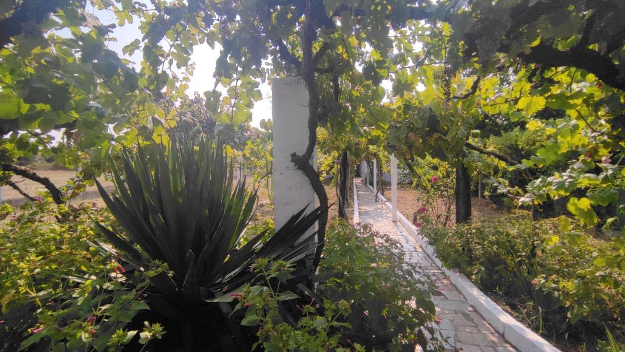 Villa Morin Grey Casa En El Corazon De La Ribeira Sacra à Monforte De Lemos Extérieur photo